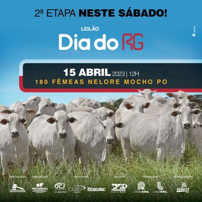 LEILÃO DIA DO RG - 2° ETAPA 15/04