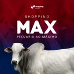 Banner - SHOPPING MAX PECUÁRIA 