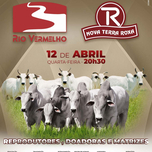 Banner - 2° LEILÃO VIRTUAL RIO VERMELHO & NOVA TERRA ROXA - 12/04/2023