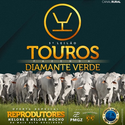 3° LEILÃO TOUROS FAZENDA DIAMANTE VERDE - 13/04/2023