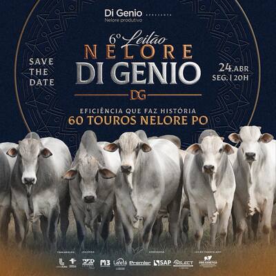 6° LEILÃO NELORE DI GENIO