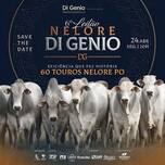 Banner - 6° LEILÃO NELORE DI GENIO