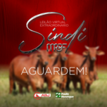 Banner - LEILÃO SINDI EXTRAORDINÁRIO MRBF - 20/05/2023