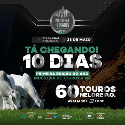 LEILÃO INDÚSTRIA DE TOUROS RIMA - ETAPA SAFRINHA 28/05/2023