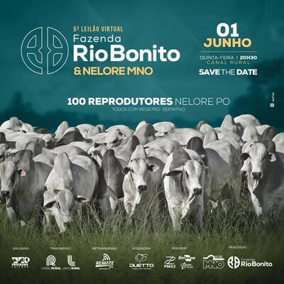 5° LEILÃO VIRTUAL FAZENDA RIO BONITO & NELORE MNO - 01/06/2023