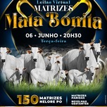 Banner - LEILÃO VIRTUAL MATRIZES MATA BONITA - 06/06/2023