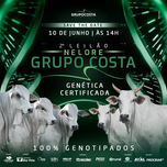 Banner - 2º LEILÃO NELORE GRUPO COSTA - 10/06/2023