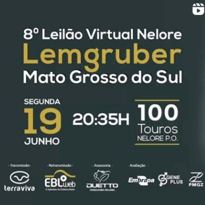 8ª LEILÃO VIRTUAL NELORE LEMGRUBER FAZENDA ELGE - 19/06/2023