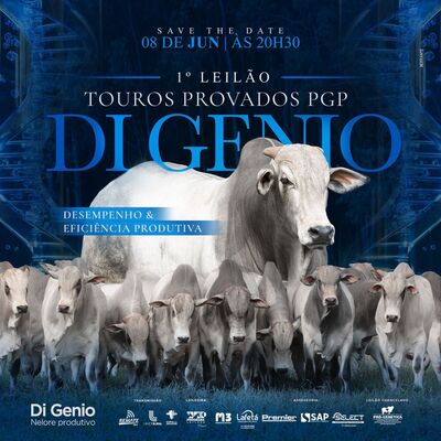 1° LEILÃO TOUROS PROVADOS PGP DI GENIO - 08/06/2023