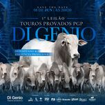 Banner - 1° LEILÃO TOUROS PROVADOS PGP DI GENIO - 08/06/2023