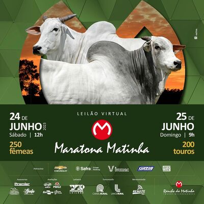 LEILÃO VIRTUAL MARATONA MATINHA - FÊMEAS 24/06/2023