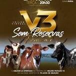 Banner - LEILÃO VIRTUAL V3 SEM RESERVAS FÊMEAS - 27/06/2023