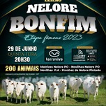 Banner - LEILÃO NELORE BONFIM - ETAPA FÊMEAS 2023 