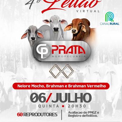 4° LEILÃO VIRTUAL G PRATA AGROPECUÁRIA - 06/07/2023