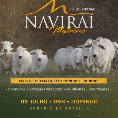LEILÃO VIRTUAL NAVIRAÍ MATRIZES - 09/07/2023