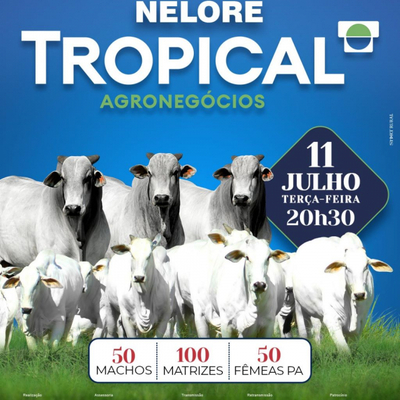 2° LEILÃO NELORE TROPICAL AGRONEGÓCIOS - 11/07/2023