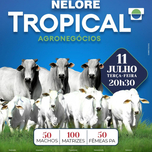 Banner - 2° LEILÃO NELORE TROPICAL AGRONEGÓCIOS - 11/07/2023