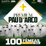 Banner - LEILÃO VIRTUAL PREMIUM NELORE PAU D'ARCO - FÊMEAS 19/07/2023