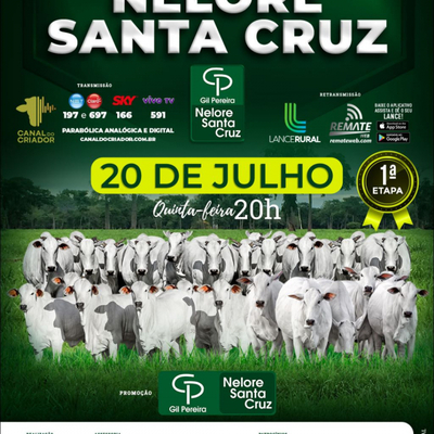 LEILÃO BASE GENÉTICA NELORE SANTA CRUZ - 20/07/2023