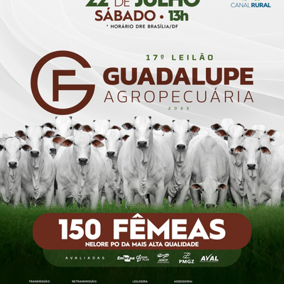 17° LEILÃO GUADALUPE AGROPECUÁRIA - FÊMEAS 22/07/2023