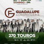 Banner - 17° LEILÃO GUADALUPE AGROPECUÁRIA - TOUROS 23/07/2023