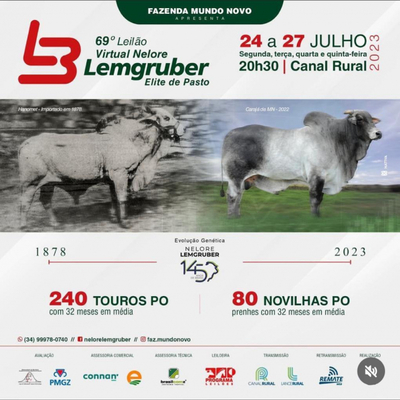 69° LEILÃO VIRTUAL NELORE LEMGRUBER - 1º ETAPA 