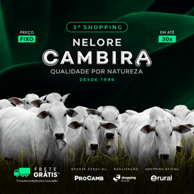 3º Shopping Nelore Cambira 