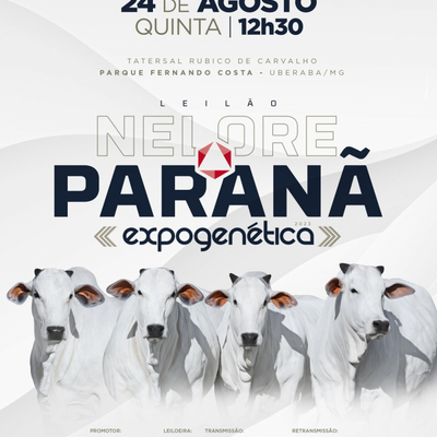 LEILÃO NELORE PARANÃ - EXPOGENÉTICA 2023