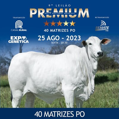 9º LEILÃO NOITE NACIONAL MATRIZES PREMIUM - 25/08/2023