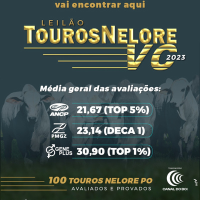Leilão Touros Nelore VC 2023 - 26/08/2023