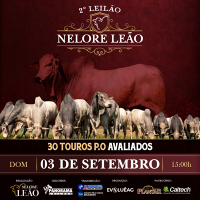 2° LEILÃO NELORE LEÃO - 03/09/2023