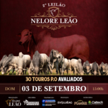 Banner - 2° LEILÃO NELORE LEÃO - 03/09/2023