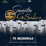 Banner - LEILÃO SEMENTES G. SALES - BEZERRAS NELORE PO