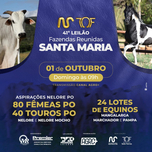 Banner - 41° LEILÃO FAZENDAS REUNIDAS SANTA MARIA
