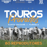 Banner - LEILÃO TOUROS PROVADOS SANTA NAZARÉ & VARRELA