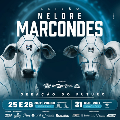 LEILÃO NELORE MARCONDES - MACHOS