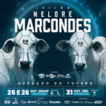 LEILÃO NELORE MARCONDES - MACHOS