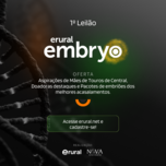 Banner - 1º LEILÃO ERURAL EMBRYO 