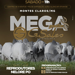 Banner - MEGA GENÉTICA G. SALES AGROPECUÁRIA - 1° ETAPA