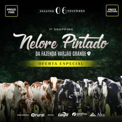 1º SHOPPING NELORE PINTADO DA FAZENDA VARJÃO GRANDE 