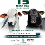 Banner - LEILÃO VIRTUAL TERRA BOA - TOUROS E MATRIZES 15/11/2023