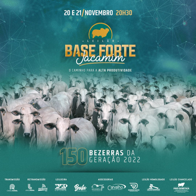 LEILÃO BASE FORTE JACAMIM - 20 e 21/11/2023