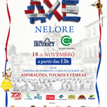Banner - LEILÃO AXÉ NELORE 2023 - 18/11/2023