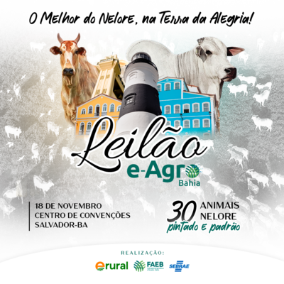 LEILÃO E-AGRO BAHIA 2023
