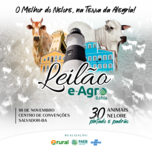 Banner - LEILÃO E-AGRO BAHIA 2023