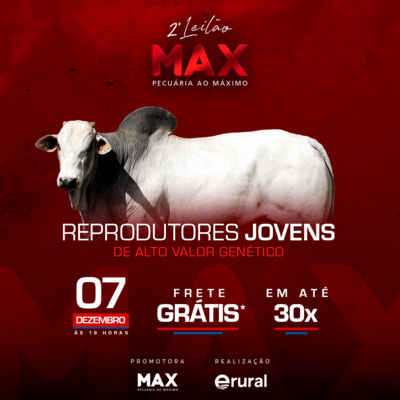 2º LEILÃO MAX PECUÁRIA