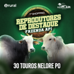 Banner - 1º SHOPPING REPRODUTORES DE DESTAQUE FAZENDA API  