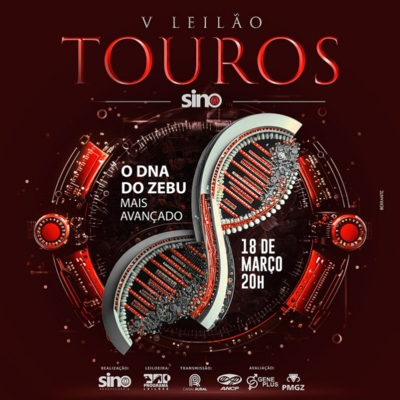 5ª LEILÃO TOUROS SINO AGROPECUÁRIA - 18/03/2024
