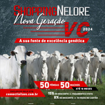Banner - Shopping Nelore VC 2024 - Nova Geração 