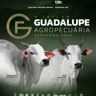 5º LEILÃO GUADALUPE AGROPECUÁRIA - EXPOZEBU 2024 - 27/04/2024